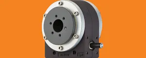 worm gear joint