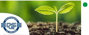 Sustainability