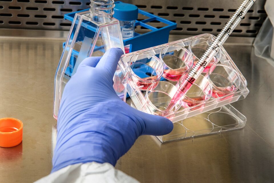 Someone manually pipetting fluid
